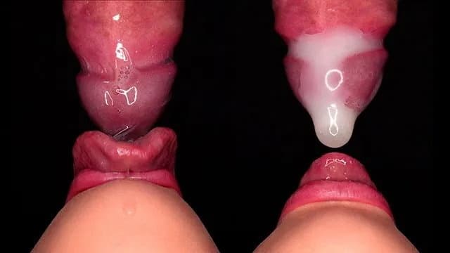 Cận Cảnh: Màn Thổi Hộp Bao Cao Su Quyến Rũ Đỉnh Cao 2025